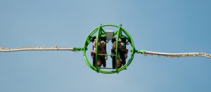 STU_4083