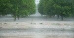 Flash Flood_2