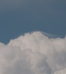 Pileus