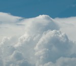Pileus